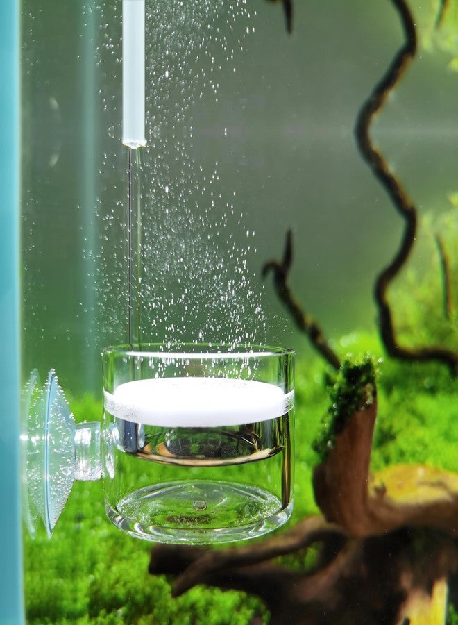 JARDLI Pollen Glass CO2 Diffuser with U-Shape Connecting Tube for Aquarium Planted Tank (2" for 50-80 US gallons) - Image 1
